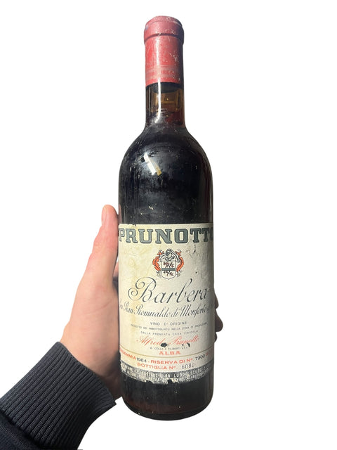 Prunotti Barbera 1964