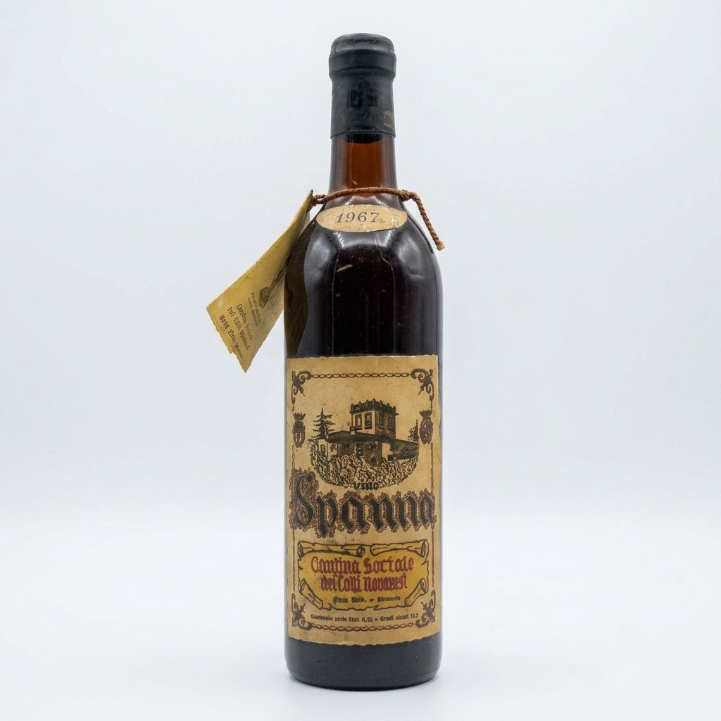 Wine 1967 - Largest selection in Scandinavia & EU - See the