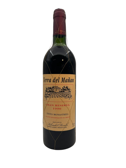 Bottle of Terra del Mañana 1990 Gran Reserva wine
